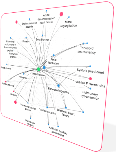 Nebula_network graph with effects-1-1