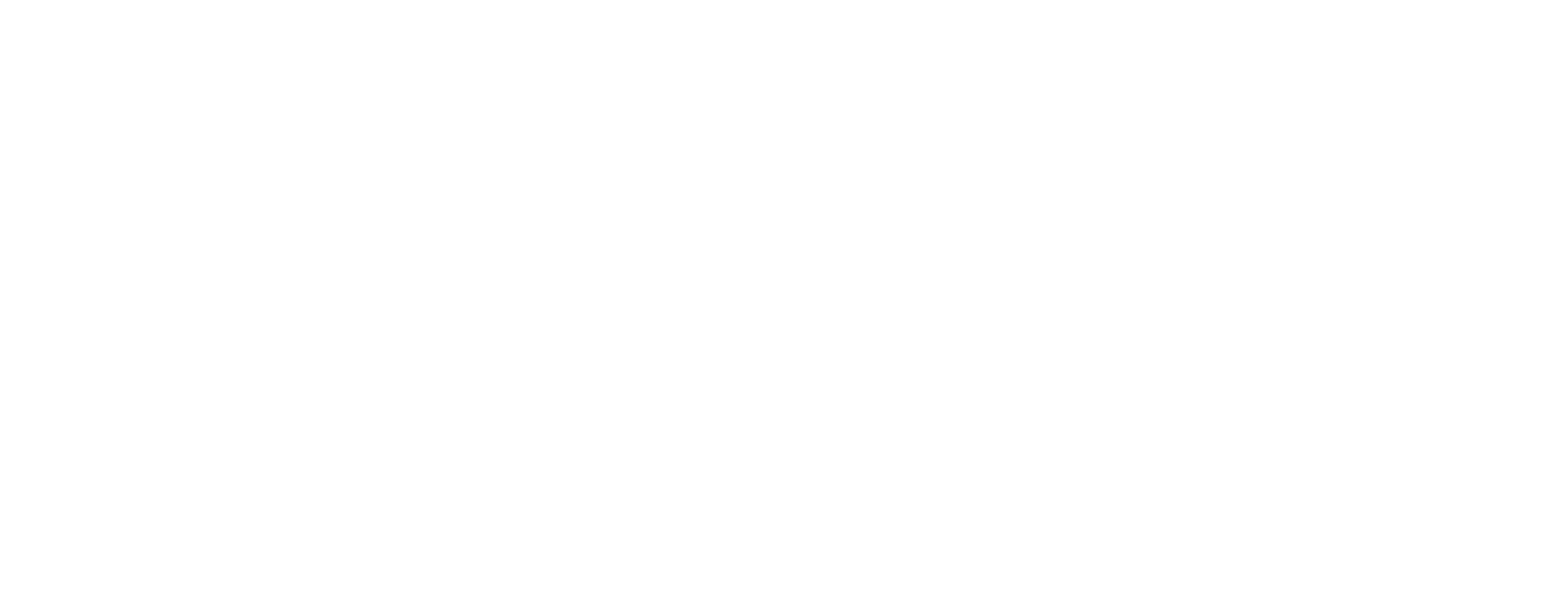Research Solutions logo